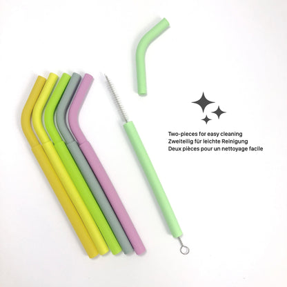 Reusable Straws Set (x6)
