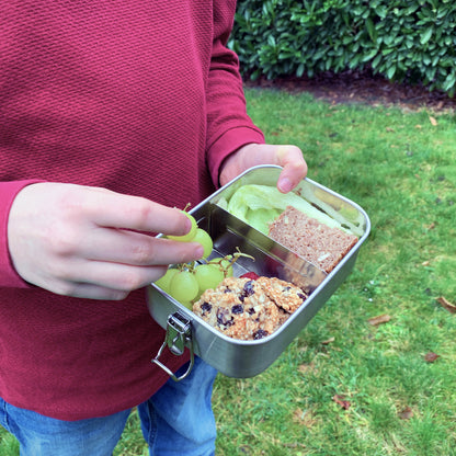 "Happy Whale" - Leak-proof stainless steel lunch box - Available for shipping 1.12.2025